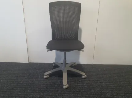 Life Chair - with new arms
